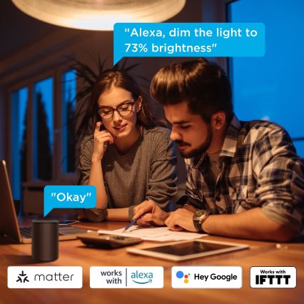 Govee - 2er-Set dimmbare LED-Lampen Smart MATTER A60 E27/9W/230V 2700-6500K Wi-Fi
