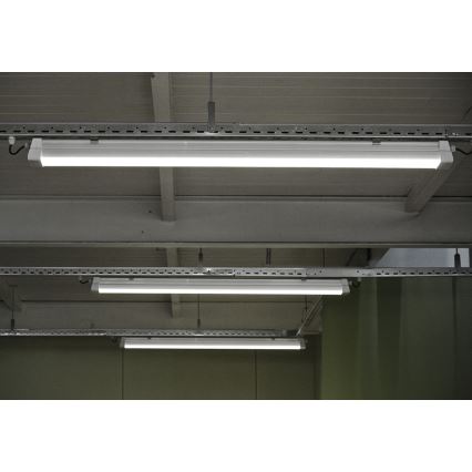 Greenlux GXWP381 - Lampada fluorescente tecnica LED DUST PROFI MILK LED/53W/230V 4000K IP66