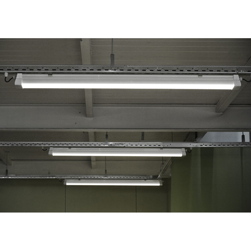Greenlux GXWP381 - Lampada fluorescente tecnica LED DUST PROFI MILK LED/53W/230V 4000K IP66
