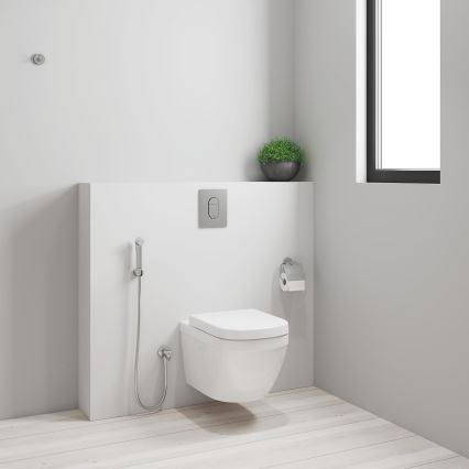 GROHE 26354000 - Pommeau de douche à main TEMPESTA-F 1250 mm, chrome brillant