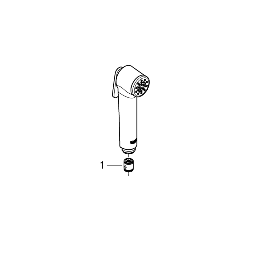 GROHE 26506000 - Pommeau de douche TEMPESTA-F 36 mm chromé brillant