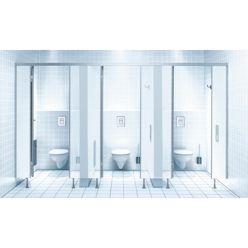 GROHE 38732SD0 - Betätigungsplatte SKATE COSMOPOLITAN 156 × 197 mm Edelstahl