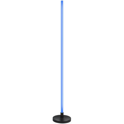 Grundig - Lampada a piantana dimmerabile LED RGB LED/5W/5V + telecomando