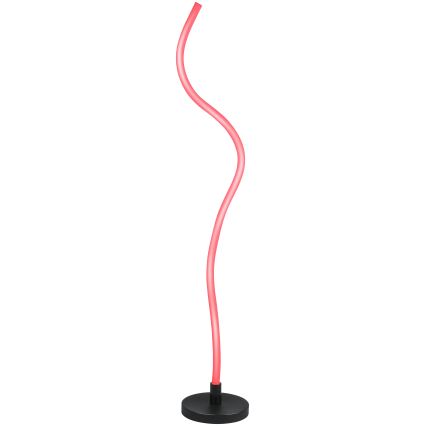 Grundig - Lampada a piantana dimmerabile LED RGB LED/5W/5V + telecomando