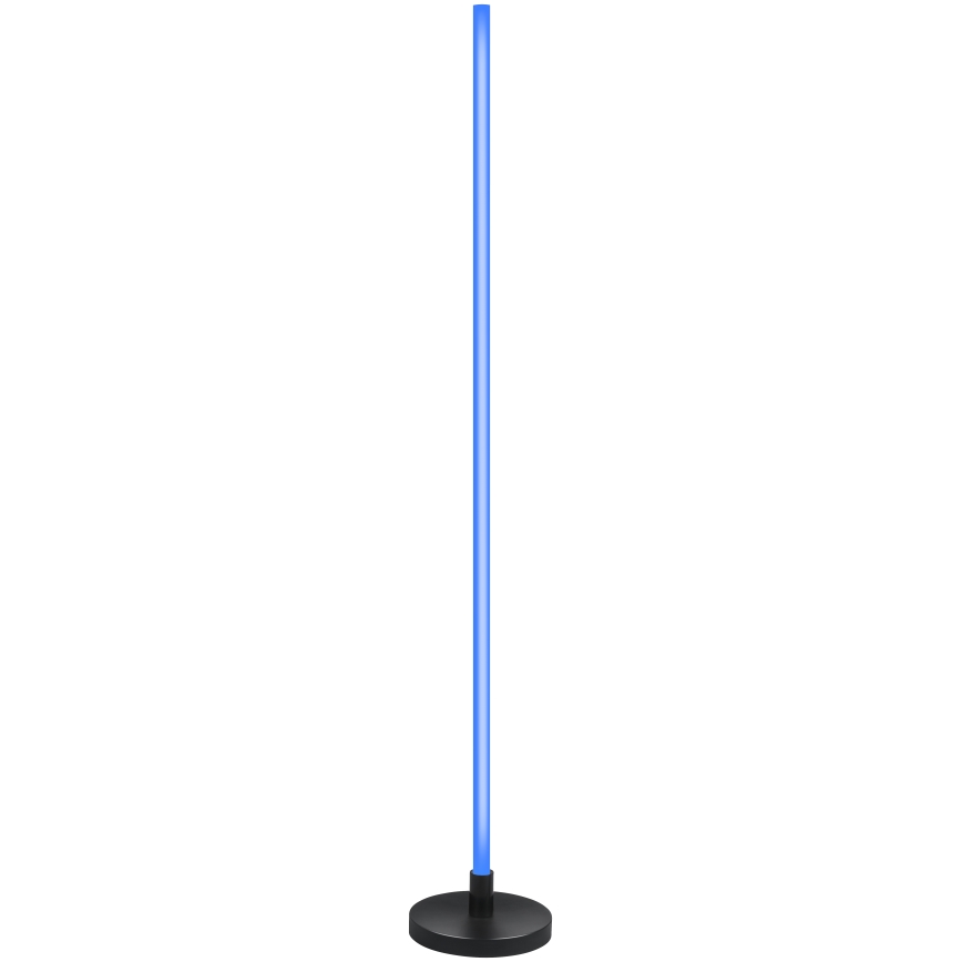 Grundig - LED RGB lampadaire dimmable LED/5W/5V + télécommande