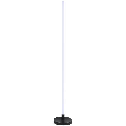 Grundig - LED RGB lampadaire dimmable LED/5W/5V + télécommande