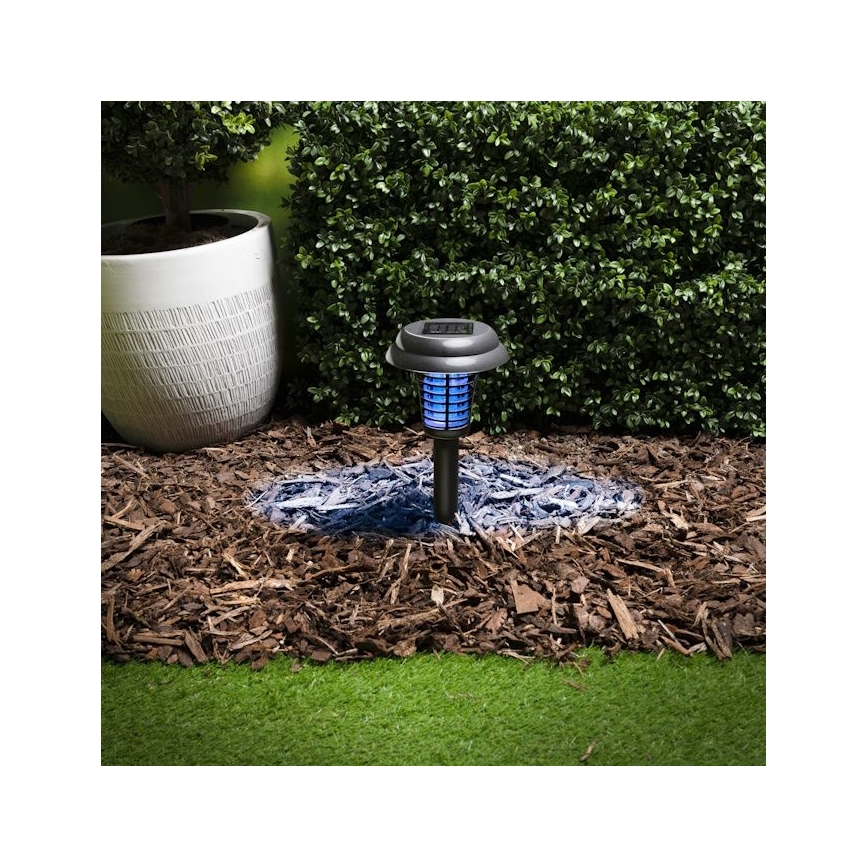 Grundig - Lampe solaire LED et piège à insectes UV LED/1xAA 600 mAh IPX4