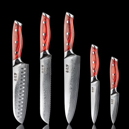 Gudaro - 5er-Set Damast-Küchenmesser KENSHO + magnetische Messerleiste