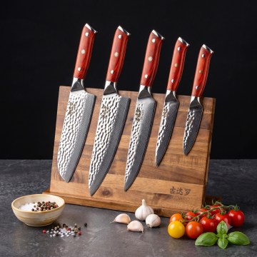 Gudaro - 5er-Set Damast-Küchenmesser MIYABI + magnetische Messerleiste