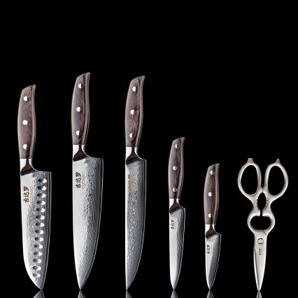 Gudaro - 5-teiliges Damast-Küchenmesser-Set SHIRO + Messerblock und Geflügelschere