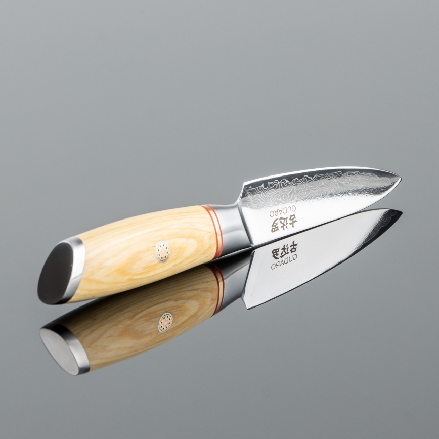 Gudaro - Coltello da cucina in acciaio damascato HIKARI 3,5, 67 strati di acciaio, lunghezza 9,5 cm