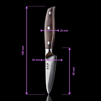 Gudaro - Coltello da cucina in damasco SHIRO 3,5, 67 strati d'acciaio, lunghezza 9,5 cm