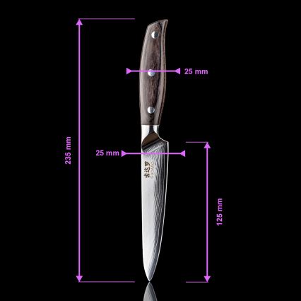 Gudaro - Coltello da cucina universale SHIRO 5, in acciaio damasco a 67 strati, lama 12,5 cm