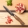 Gudaro - Coltello universale da cucina damascato TAKUMI 5