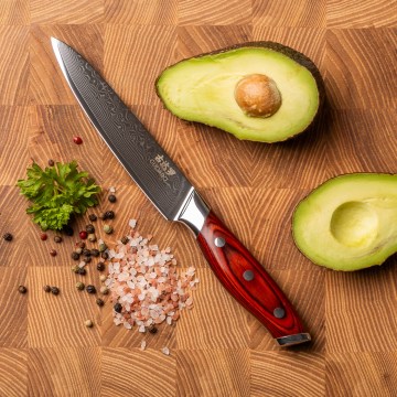 Gudaro - Coltello universale da cucina in acciaio damascato KENSHO 5