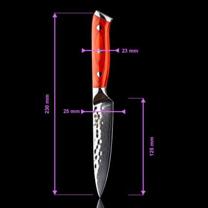 Gudaro - Coltello universale da cucina damascato MIYABI 5, acciaio a 67 strati, lunghezza 12,5 cm