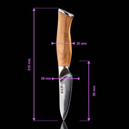 Gudaro - Couteau de cuisine damassé TAKUMI 3,5, 67 couches d'acier, lame 9,5 cm, manche en noyer