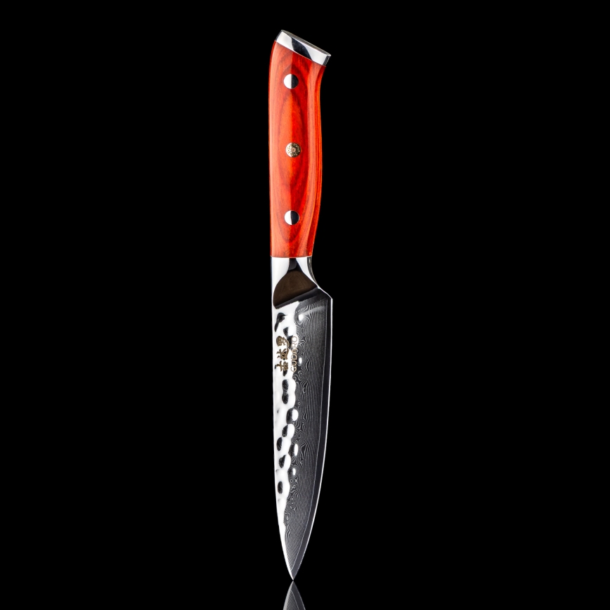 Gudaro - Couteau de cuisine polyvalent en acier damassé MIYABI 5, 67 couches d'acier, longueur 12,5 cm