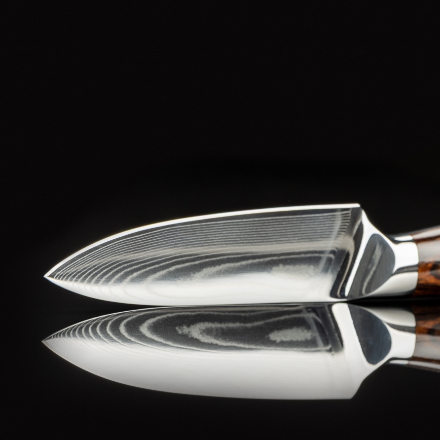 Gudaro - Damast-Küchenmesser FENG 3,5, 67 Lagen Stahl, Klingenlänge 9,5 cm