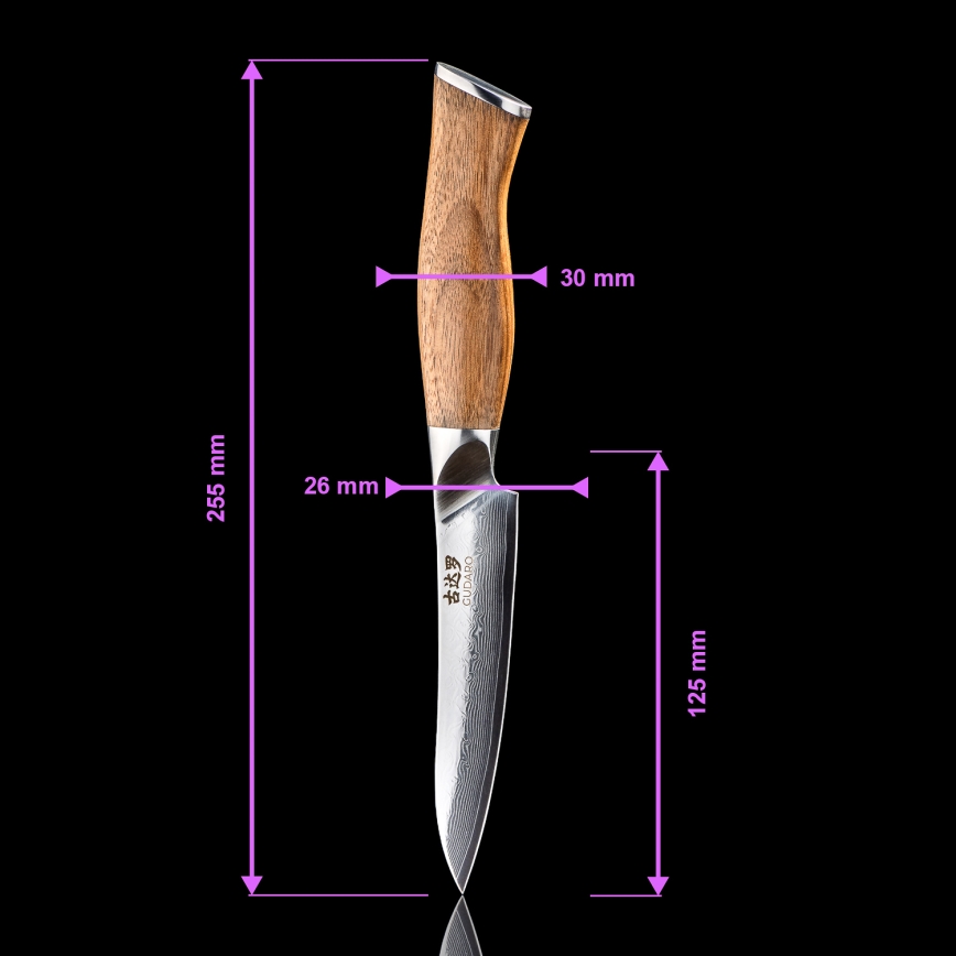 Gudaro - Damast-Universalküchenmesser TAKUMI 5, 67 Lagen Damaststahl, Klingenlänge 12,5 cm, Walnuss