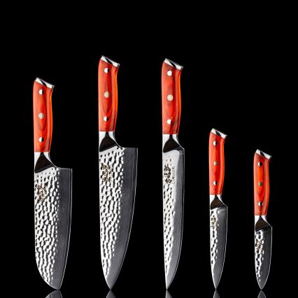 Gudaro - Lot de 5 couteaux de cuisine en acier damassé MIYABI + support magnétique
