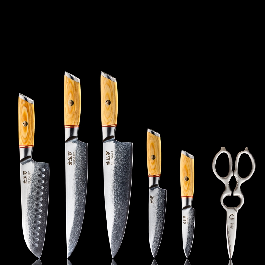 Gudaro - Set da 5 coltelli da cucina in acciaio damascato HIKARI + ceppo per coltelli e forbici per pollame