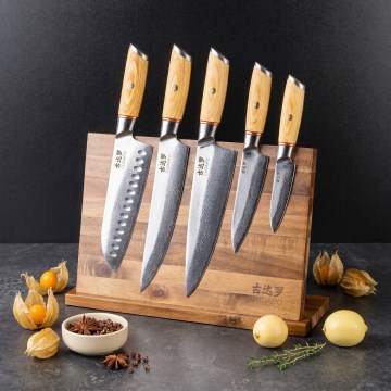 Gudaro - Set da 5 coltelli da cucina in damasco HIKARI + supporto magnetico