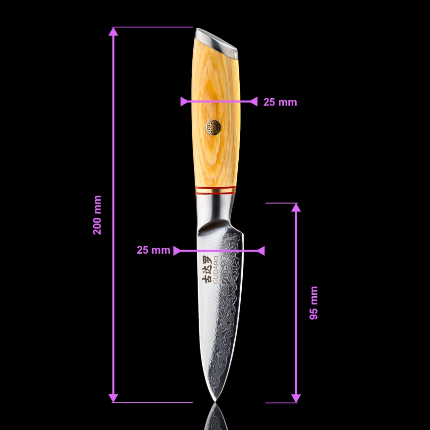 Gudaro - Set da 5 coltelli da cucina in damasco HIKARI + supporto magnetico