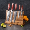 Gudaro - Set da 5 coltelli da cucina in damasco KENSHO + supporto magnetico