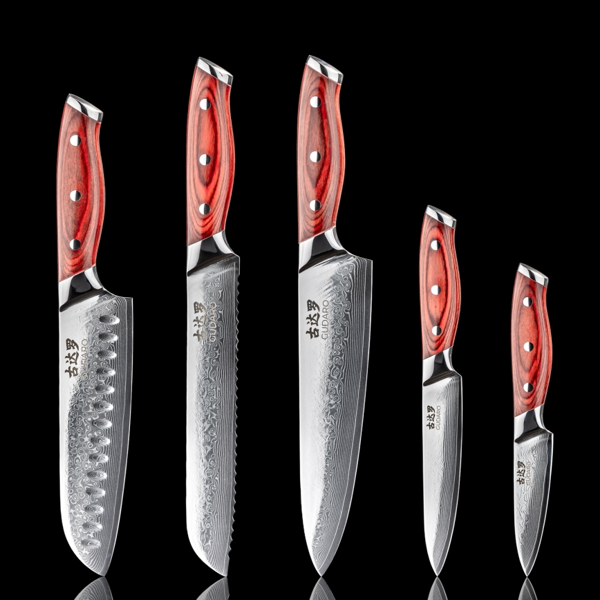 Gudaro - Set da 5 coltelli da cucina in damasco KENSHO + supporto magnetico