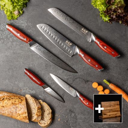 Gudaro - Set da 5 coltelli da cucina in damasco KENSHO + supporto magnetico