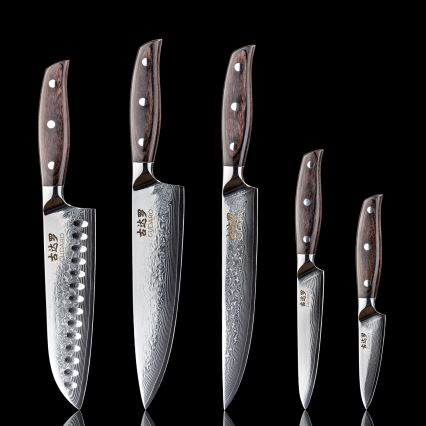 Gudaro - Set da 5 coltelli da cucina in damasco SHIRO + portacoltelli magnetico