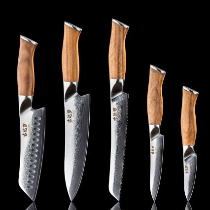 Gudaro - Set da 5 coltelli da cucina in damasco TAKUMI + supporto magnetico per coltelli