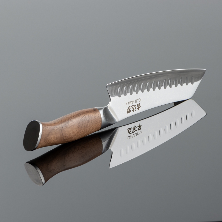 Gudaro - Set da 5 coltelli da cucina in damasco TAKUMI + supporto magnetico per coltelli