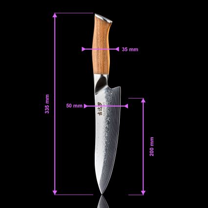 Gudaro - Set da 5 coltelli da cucina in damasco TAKUMI + supporto magnetico per coltelli