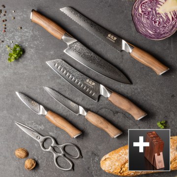 Gudaro - Set di 5 coltelli da cucina in acciaio damascato TAKUMI + ceppo per coltelli e forbici per pollame