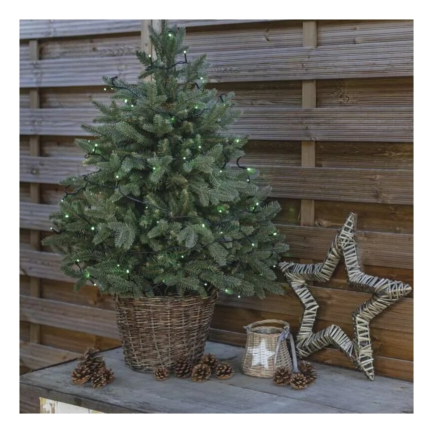 Guirlande de Noël extérieure 100xLED/10m IP44 vert