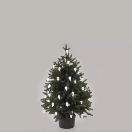 Guirlande de Noël LED extérieure 50 LED / 8 fonctions 14,8 m IP44 blanc froid