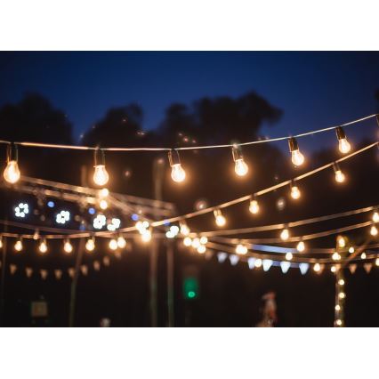 Guirlande décorative d'extérieur GARLAND 6,5 m 5xE27/15W/230V IP44