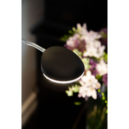 Halo Design 716067 - LED-dimmbar Stehleuchte VEGAS LED/20W/230V + LED/5W schwarz/Glanzchrom