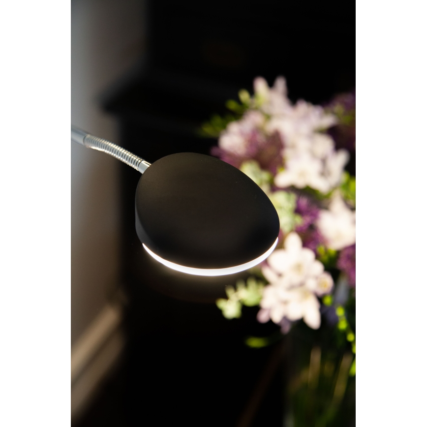 Halo Design 716067 - LED-dimmbar Stehleuchte VEGAS LED/20W/230V + LED/5W schwarz/Glanzchrom