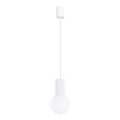Hängeleuchte HALO 1xG9/8W/230V d 12 cm weiß