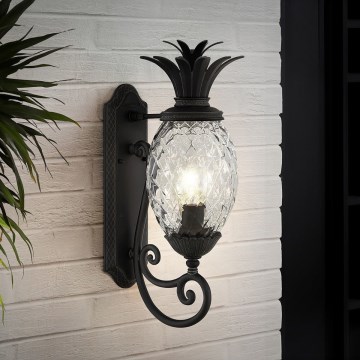 Hinkley - Applique PLANTATION 1xE27/40W/230V nero
