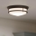 Hinkley - Deckenleuchte HADLEY für Badezimmer 3xE27/40W/230V IP44 Bronze