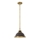 Hinkley - Lampadario a sospensione con supporto rigido AMELIA 1xE27/60W/230V ottone