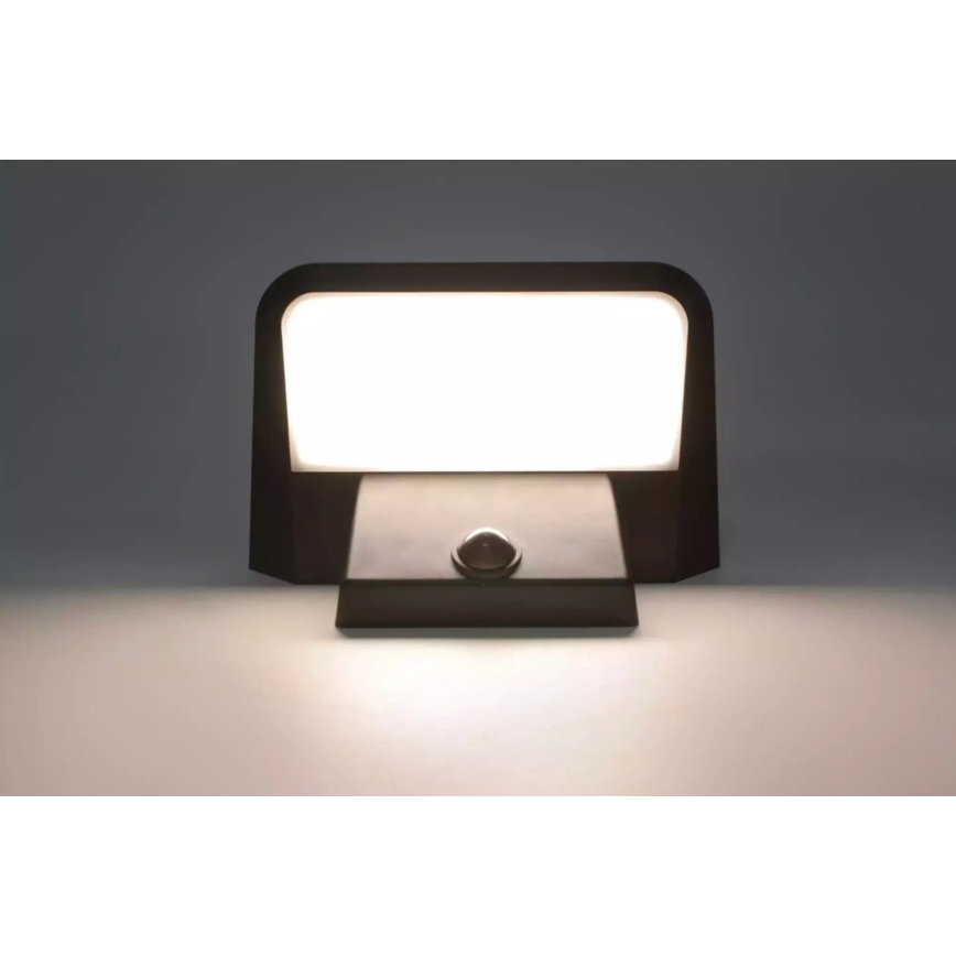 HÖFFTECH - Applique murale solaire LED avec capteur de mouvement et capteur crépusculaire LED/5,5V 200 mAh IP44