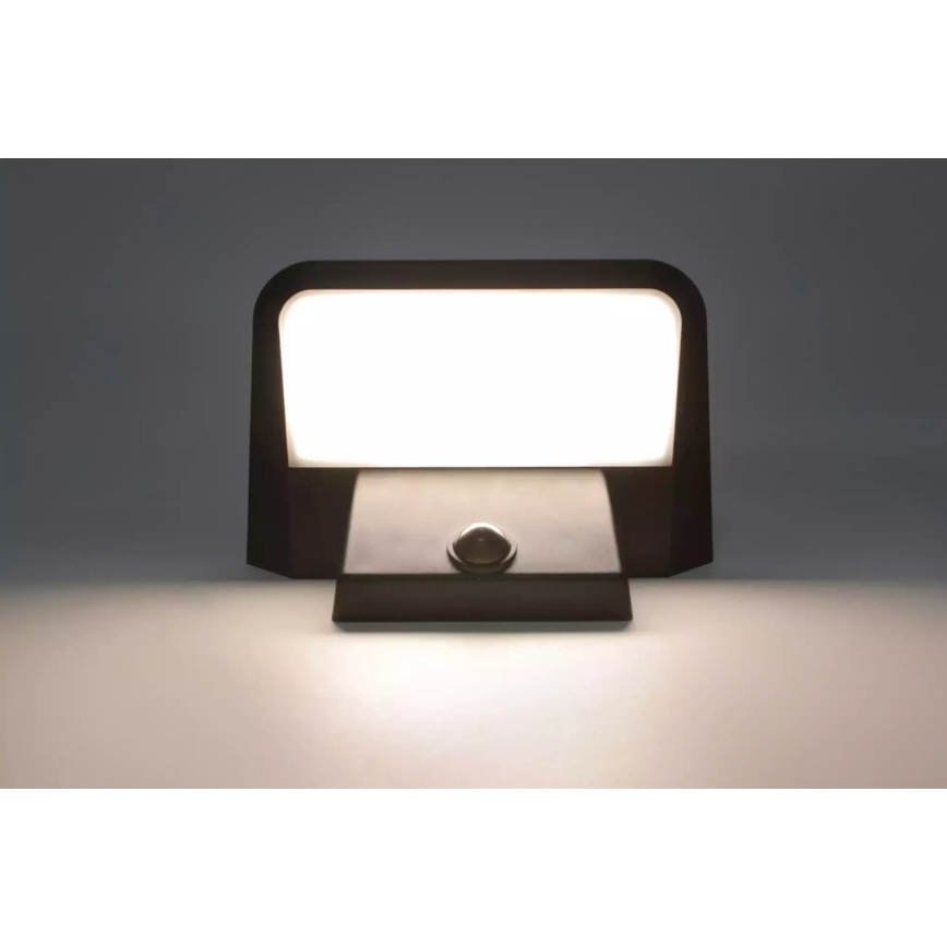 HÖFFTECH - LED Solar-Wandleuchte mit Bewegungs- und Dämmerungssensor LED/5,5V 200 mAh IP44