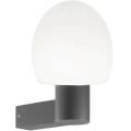 Ideal Lux - Applique murale d'extérieur CLIO 1xE27/42W/230V IP44 anthracite