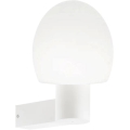Ideal Lux - Applique murale d'extérieur CLIO 1xE27/42W/230V IP44 blanche
