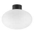 Ideal Lux - Lampada da soffitto da esterno CLIO 1xE27/42W/230V IP44 nero